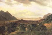 Alexandre Calame The Rhone Valley at Bex with a View to the Lake of Geneva (nn02) oil